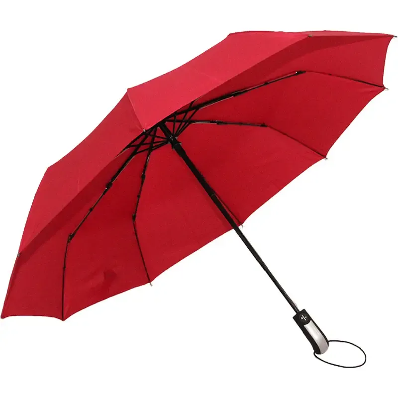 The Open Umbrella 4