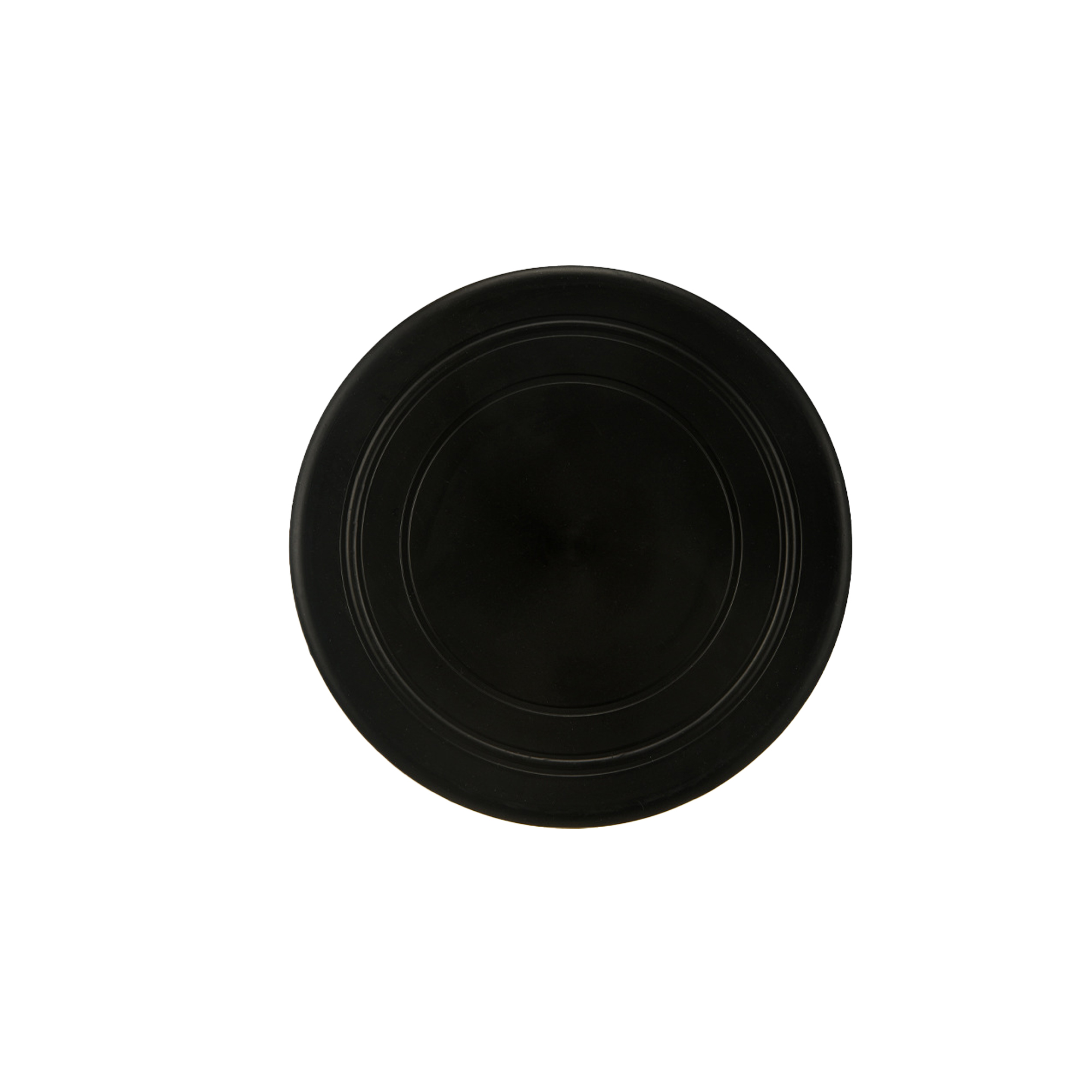 TPR Dog Flying Disc Toy 1