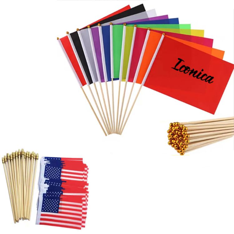 Small Hand Held Flag for Parades 2