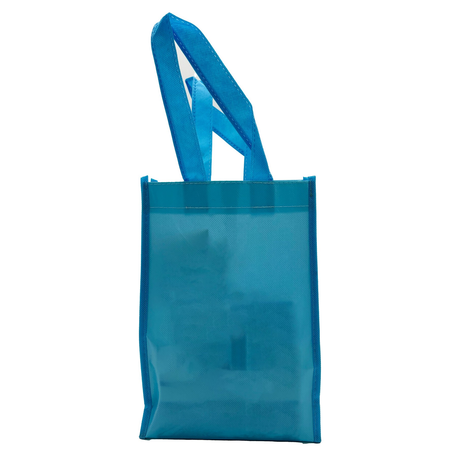 Laminated Non-woven Bag 2