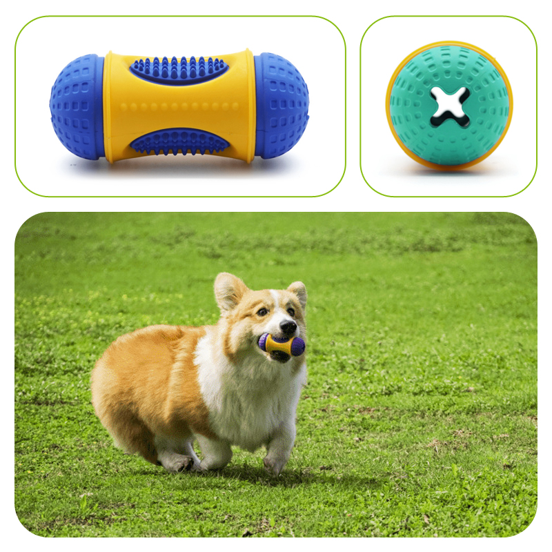 Molar dog toy 3