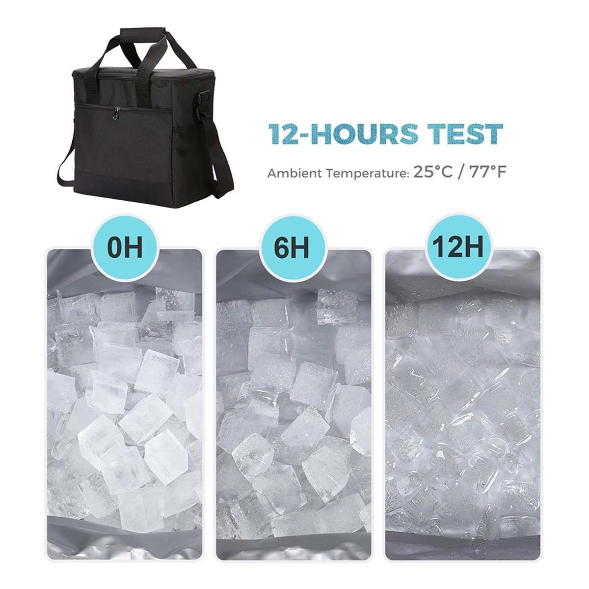 Insulated Cooler Lunch Bag 2