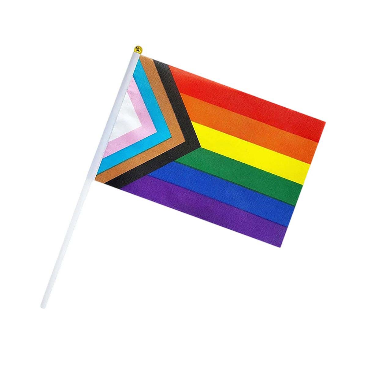 Mini Progress Pride Rainbow Flag for Celebrations 8