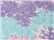 Unisex Tie-Dyed Full-Zip Hooded Sweatshirt - 8888 7