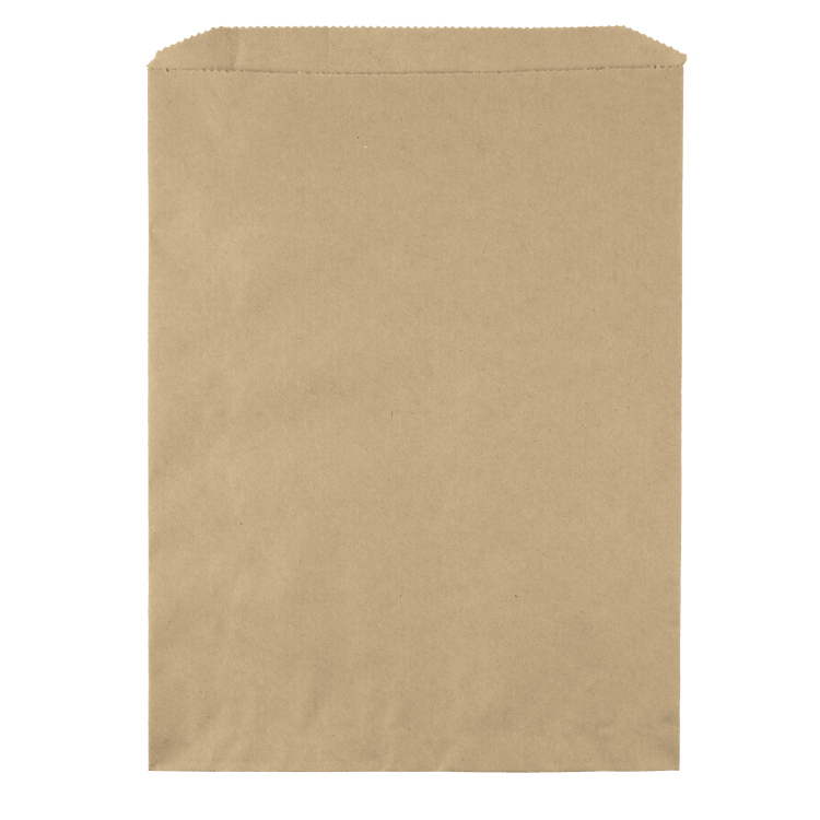 10W x 13H Merchandise Bag - Flexo Ink Print 2