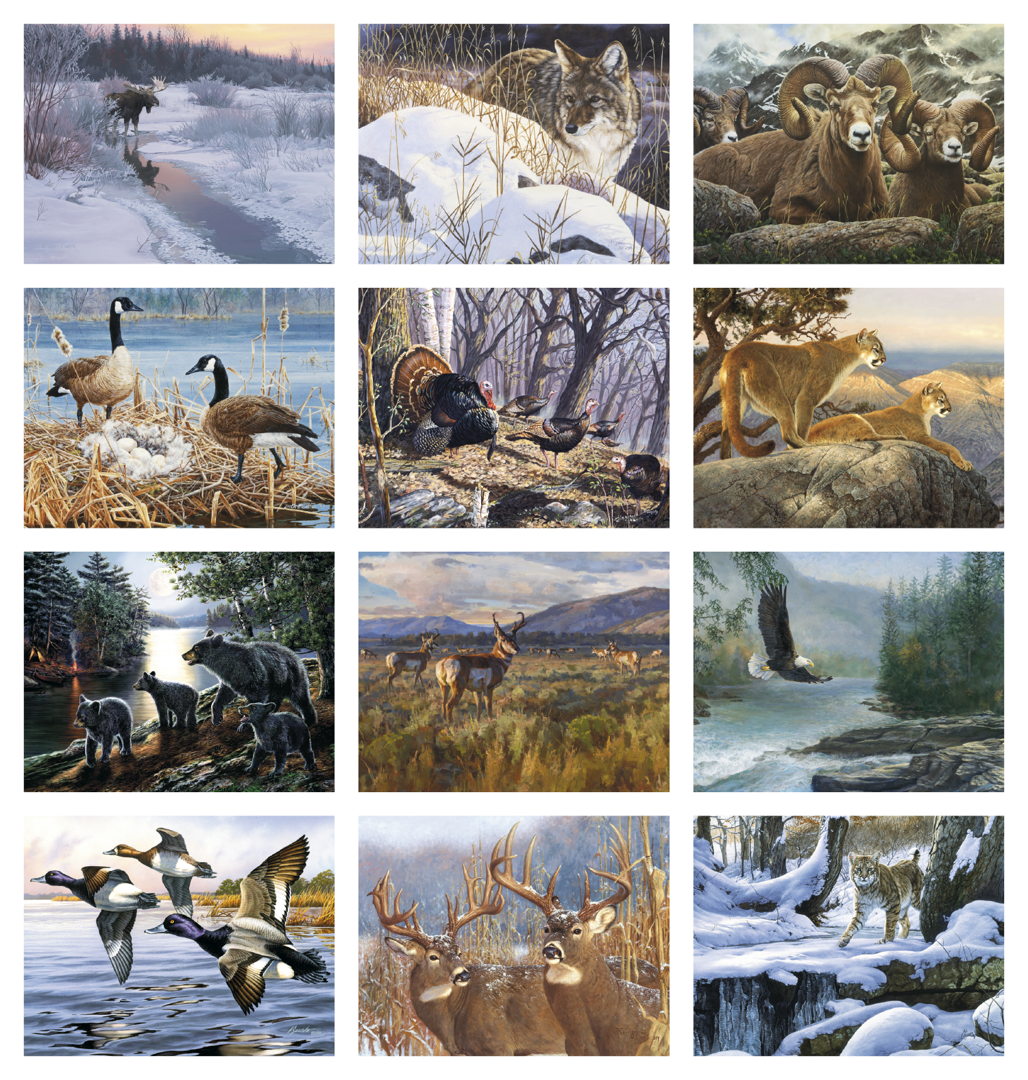 Good Value™ Wildlife Canvas - Spiral Calendar 10
