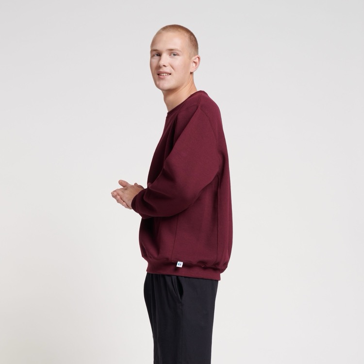 RUSSELL ATHLETIC DRI-POWER® Unisex Sweatshirt 9