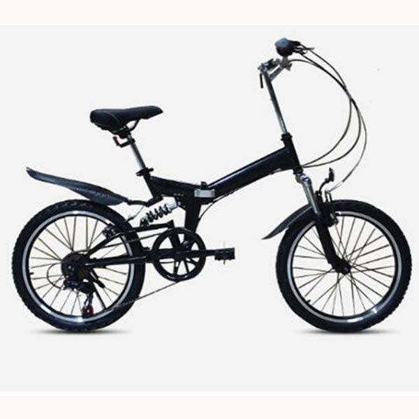 Folding Speed Mountain Bike 1