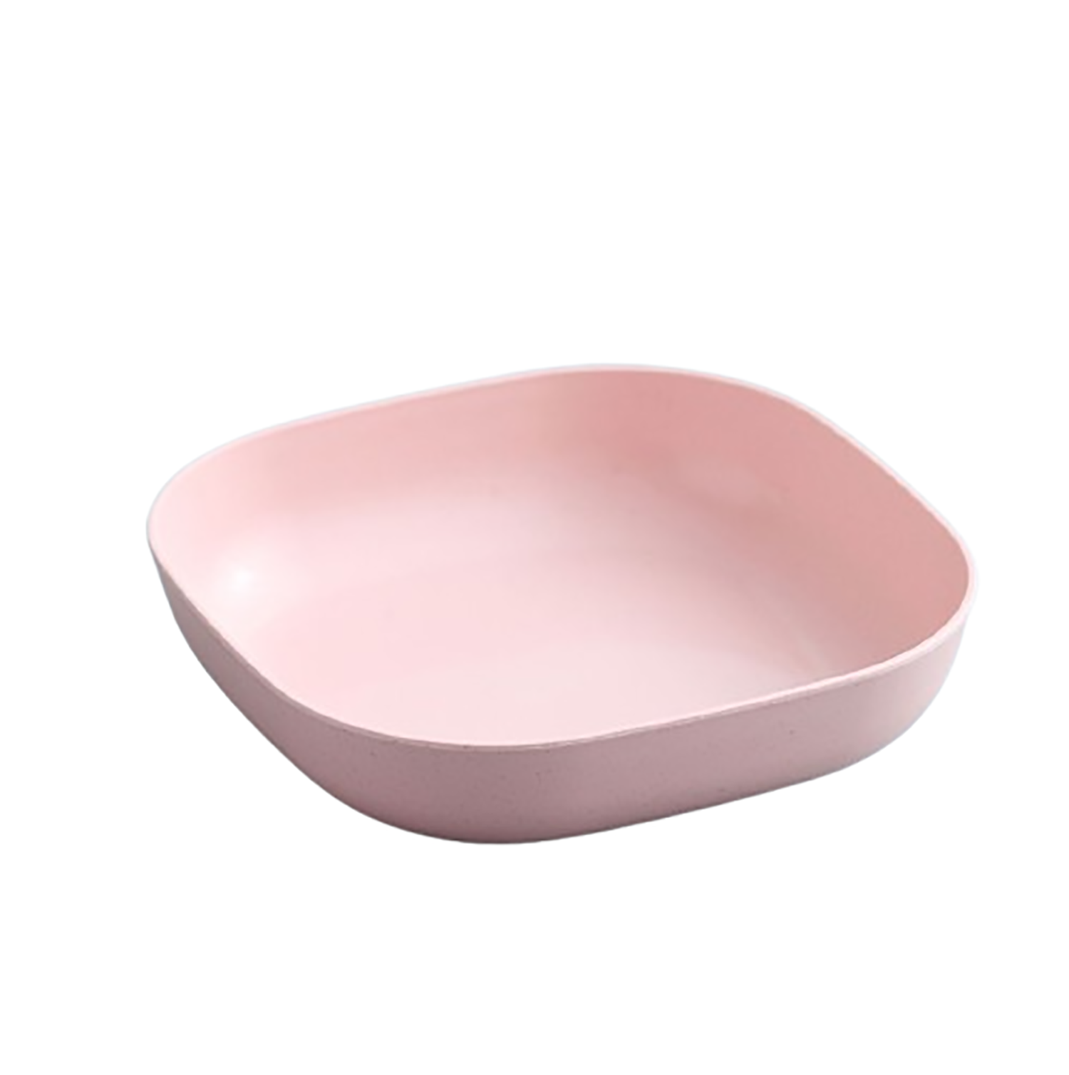 Plastic Dinner Plate 4