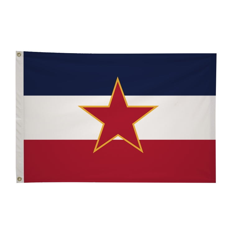 2' x 3'International Flag 295