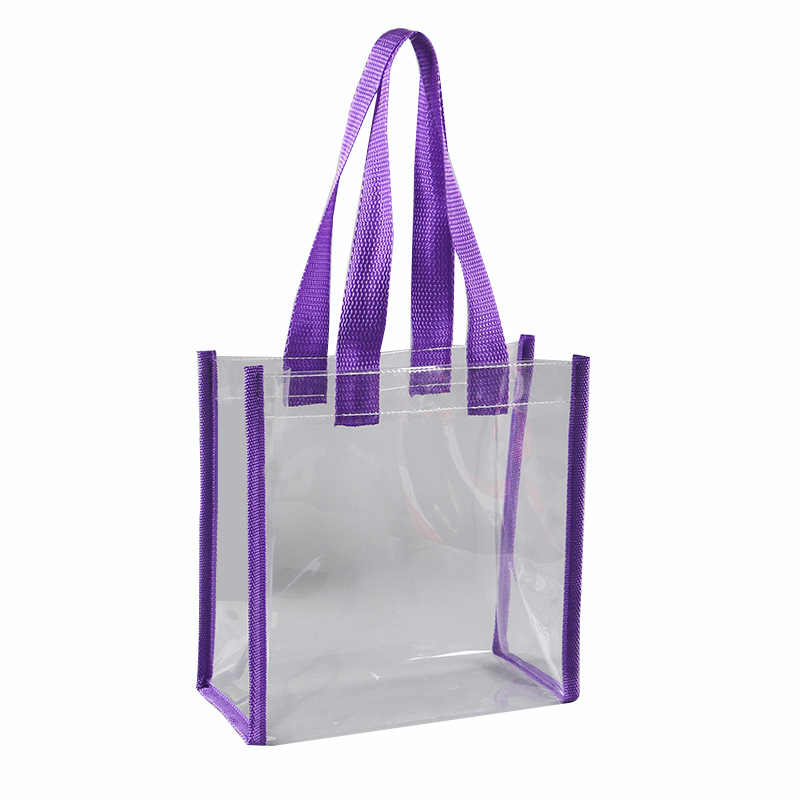 Clear Stadium Bag 1