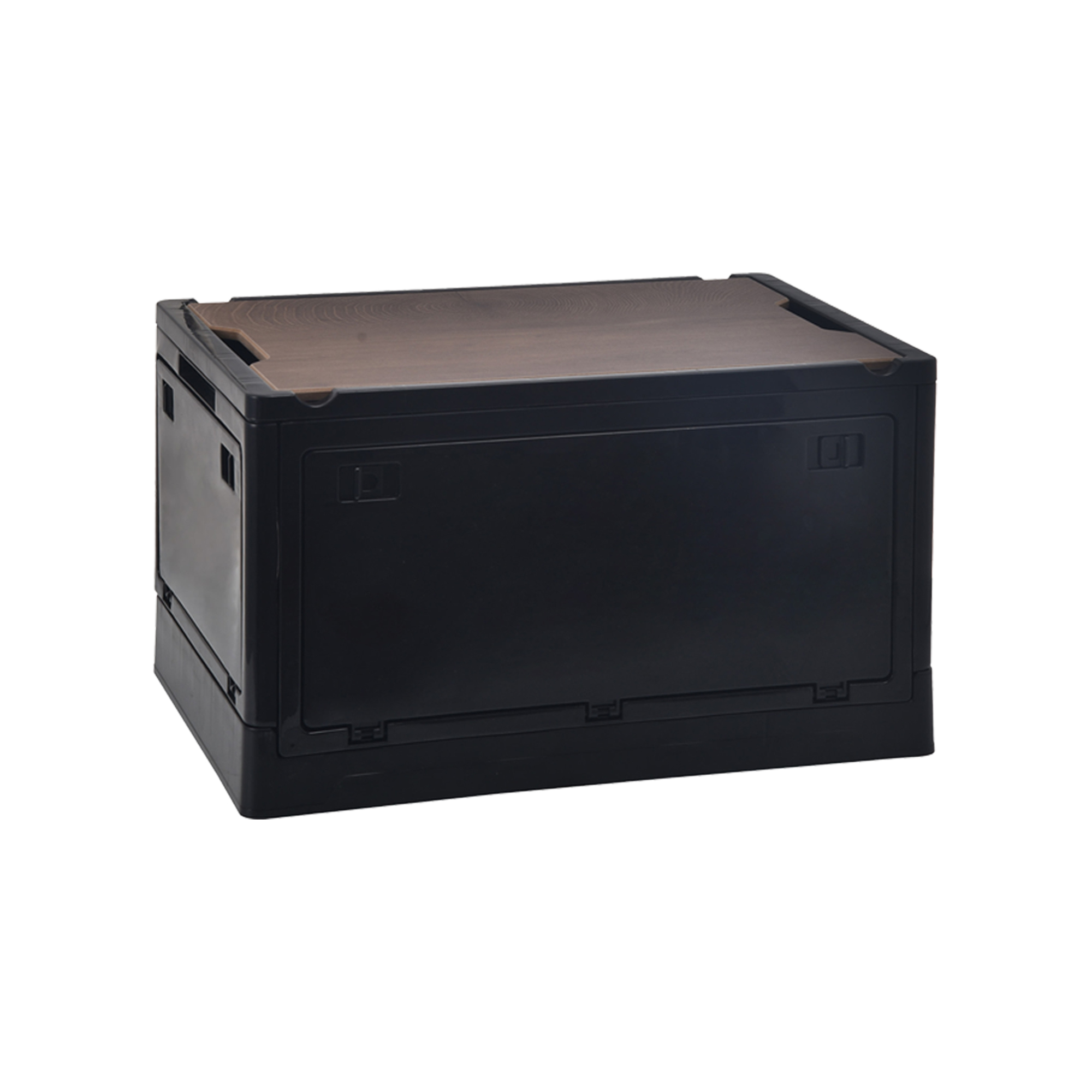Plastic Trunk Storage Box 7