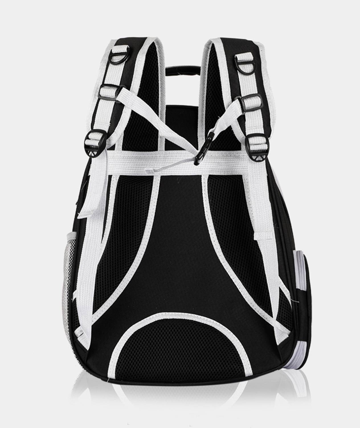Transparent Pet Backpack 2