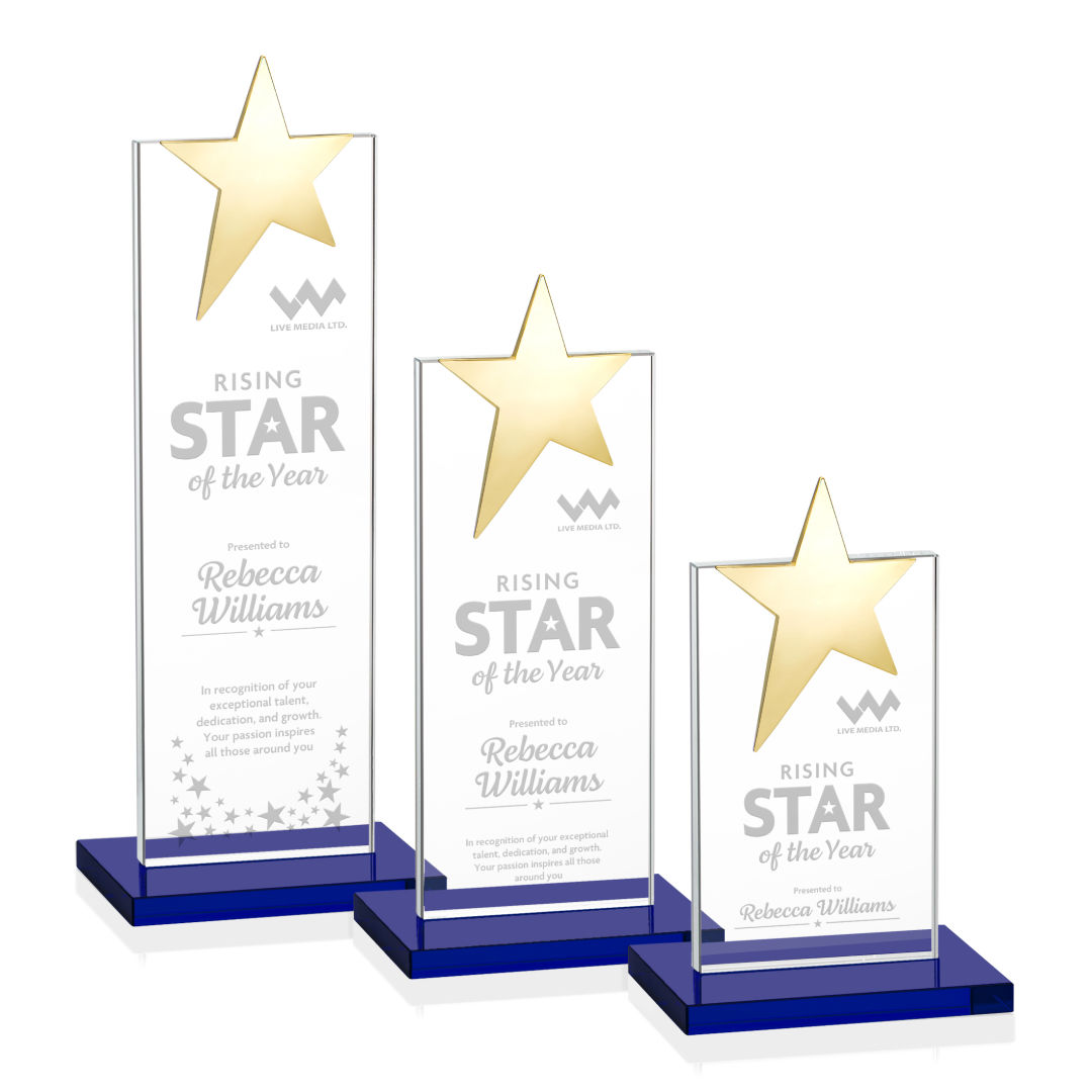 Bryanston Gold Star Award - Blue