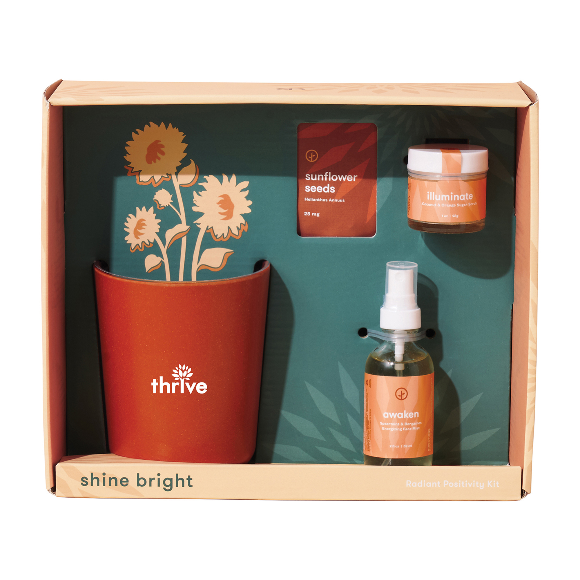 Modern Sprout® Shine Bright Take Care Kit - Sunflower 7
