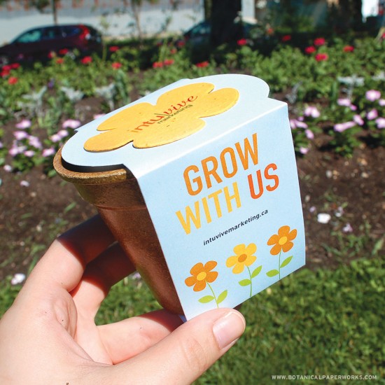 Flower Power Seed Paper Sprouter Kits 7