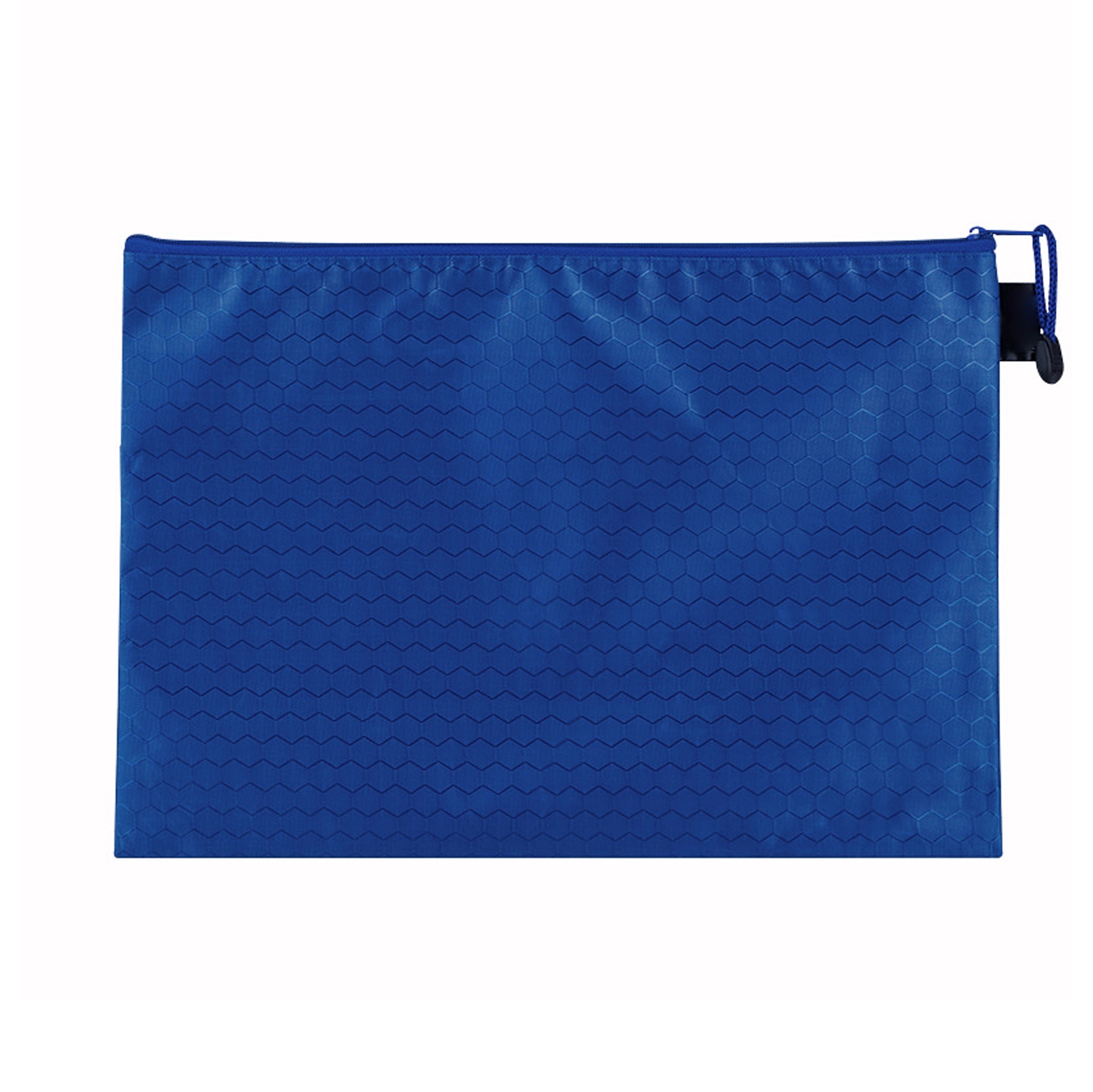 Canvas Zip File Bag 12