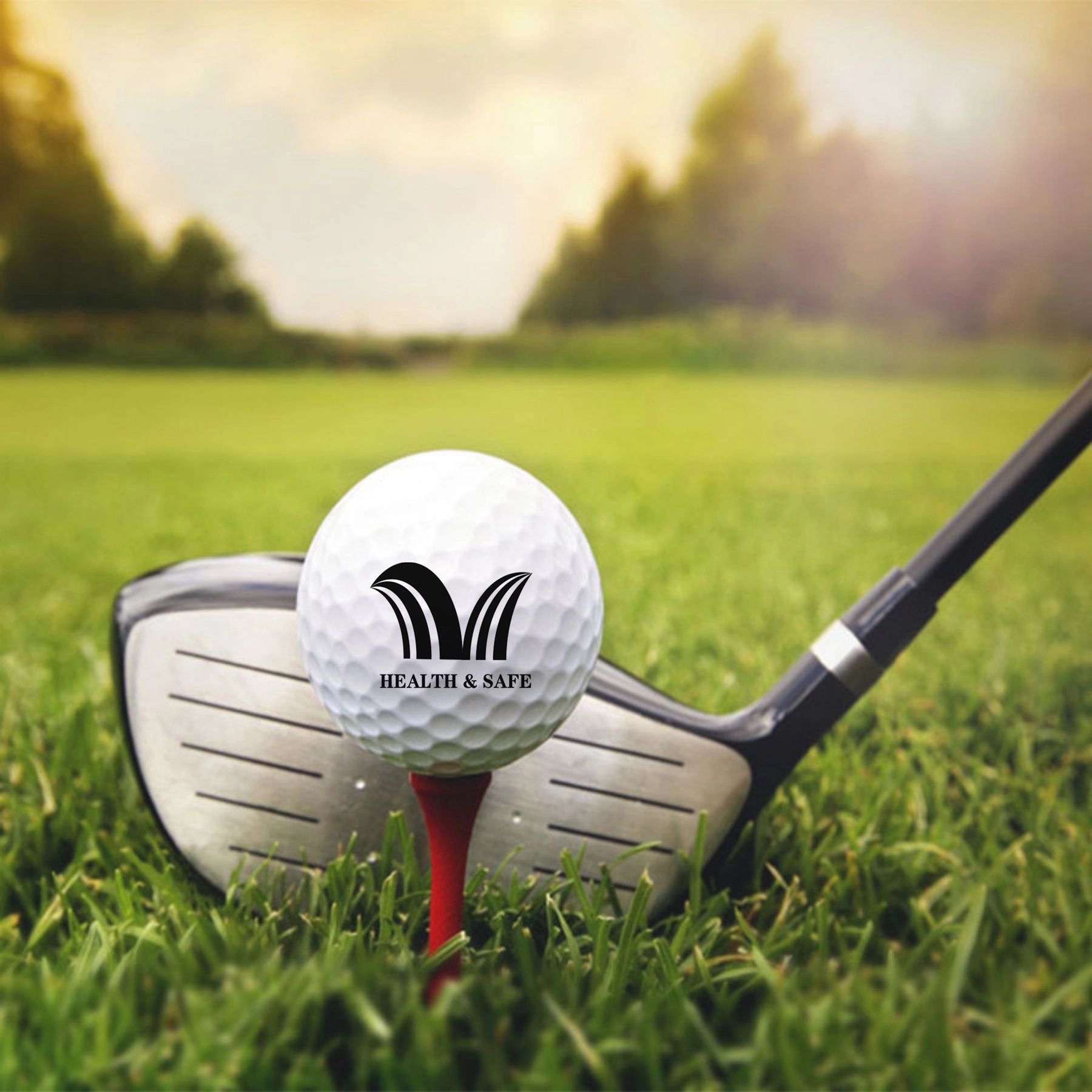 Speed Supersoft Custom Logo Taylormade Golf Balls 1