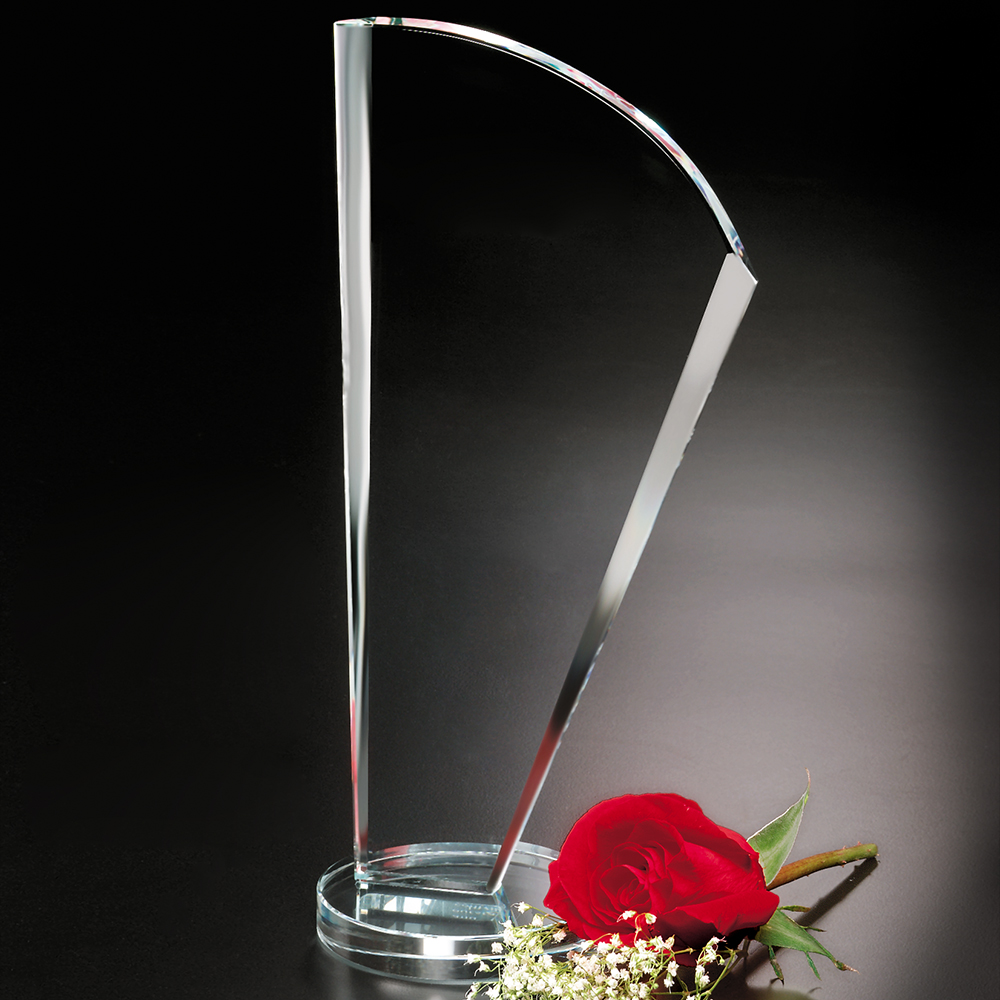 Merit Award 9