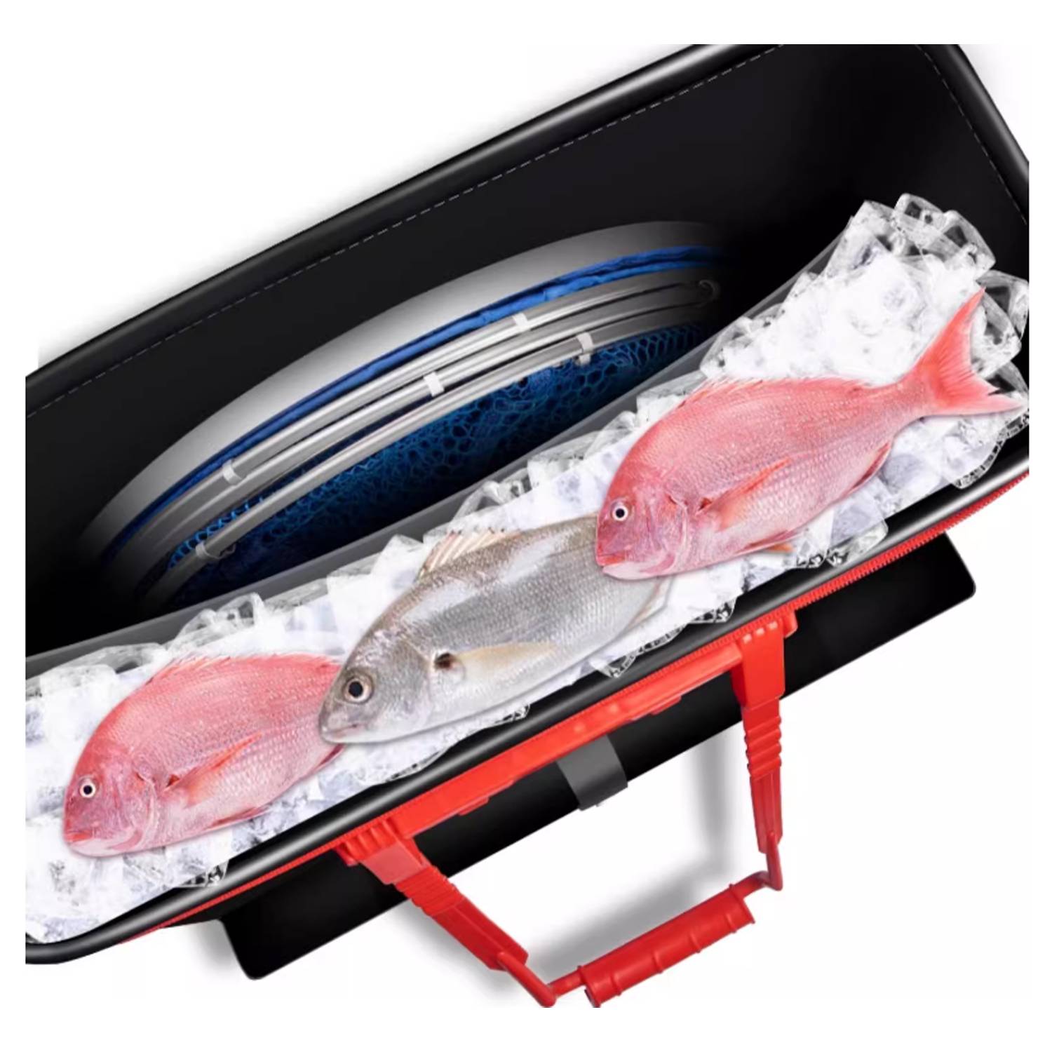 Foldable Fishing Bait Bucket 7