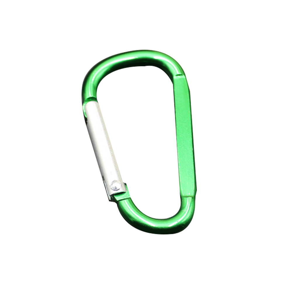 Carabiner Key Chain 2
