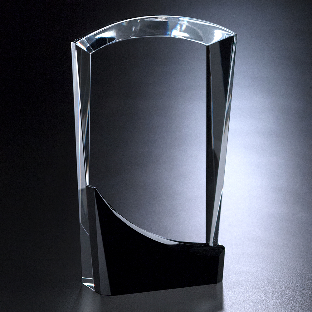 Wellton Sable Award 13