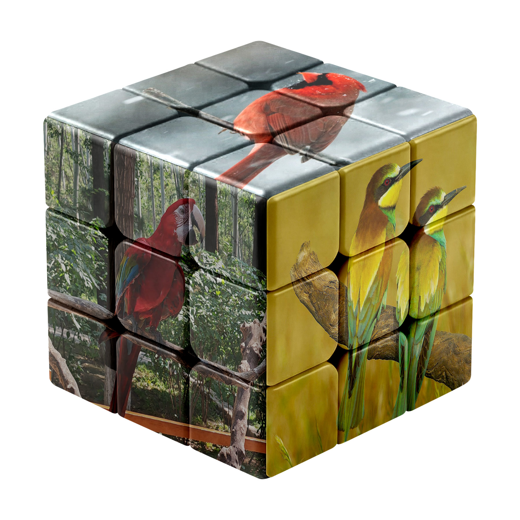 Customized Printing Fun Cube 2