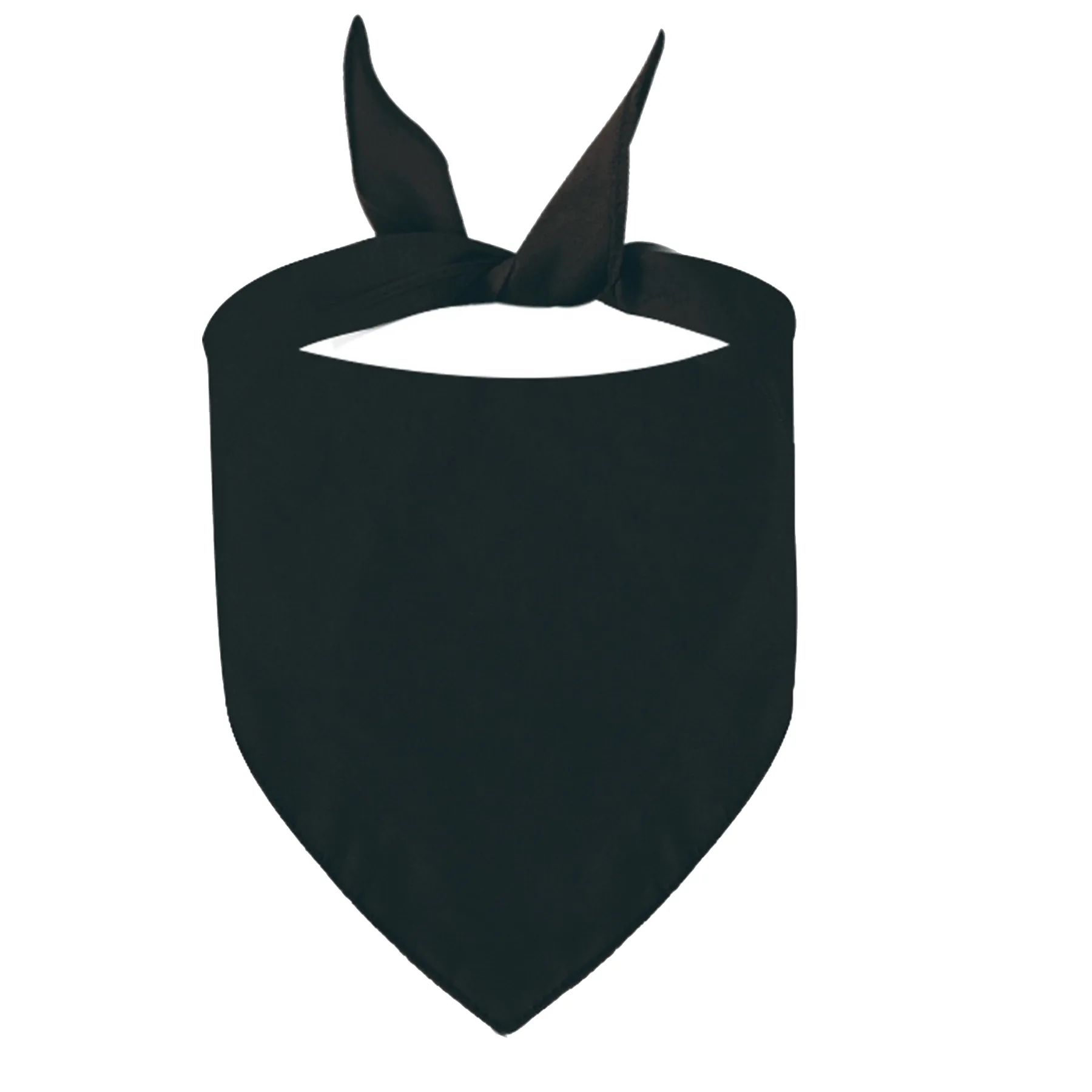 Pet Bandana 2