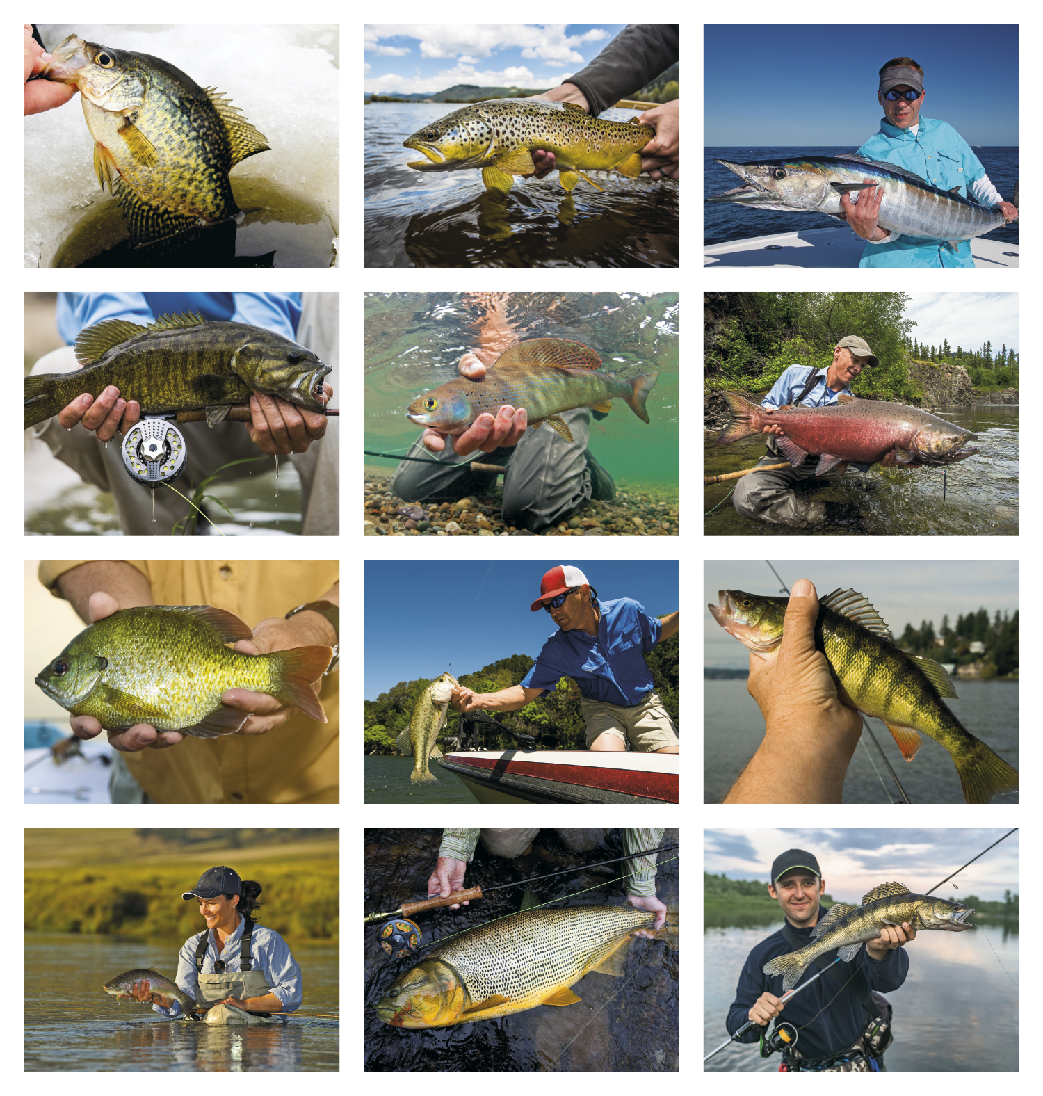 HotLine® Products Fishing Guide Appointment Calendar - Stapled 3