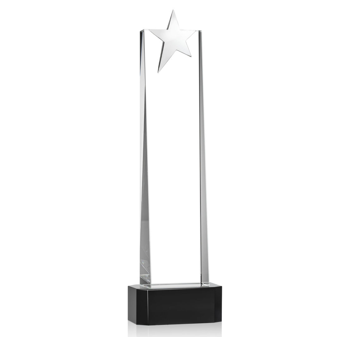Fanshaw Silver Star Award on Base - Black 9