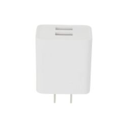 10W DUAL USB-A ADAPTER