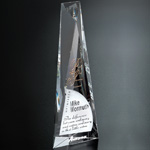 Serenity Award 5