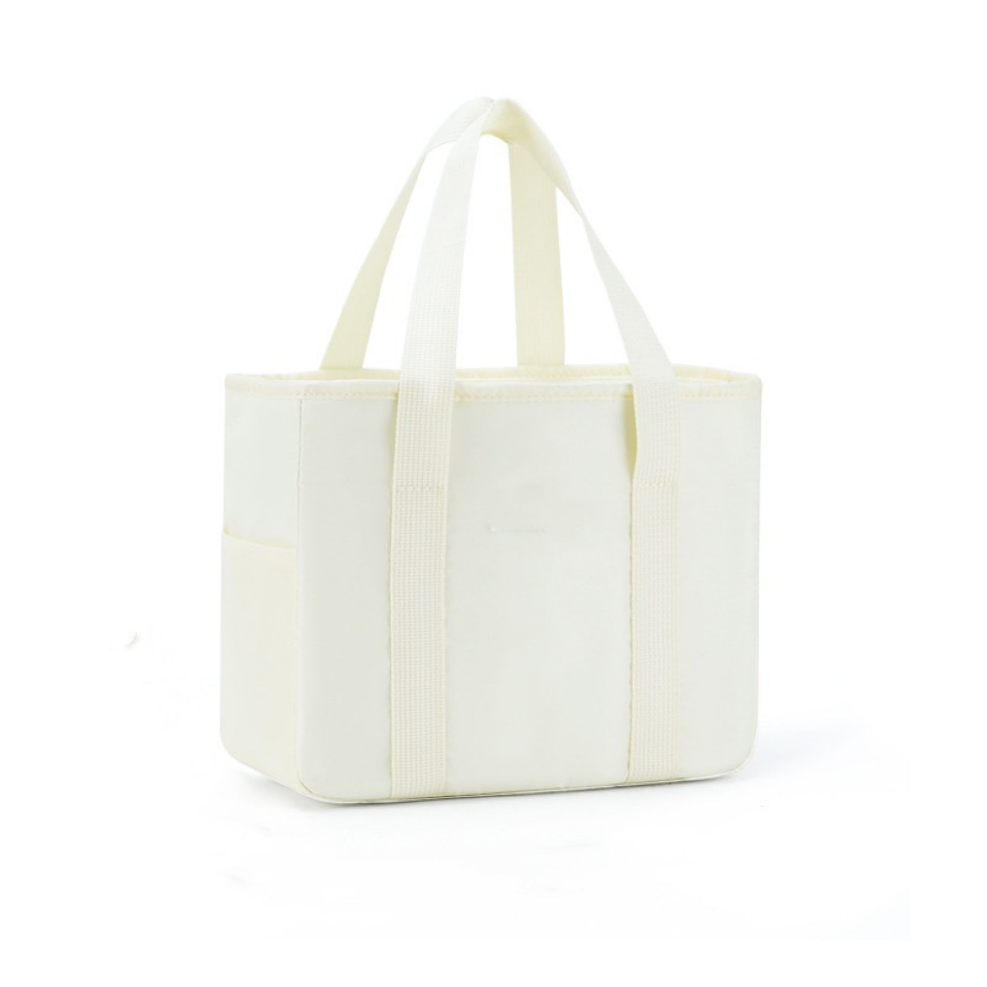 6L Portable Cool Picnic Food Drink Bag 2