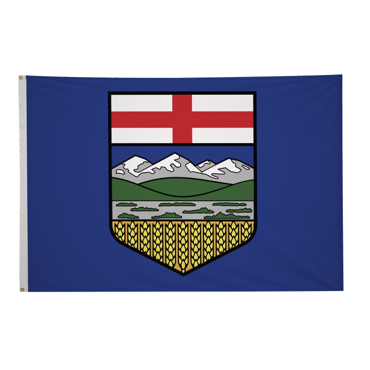 4' x 6' International Flags 301