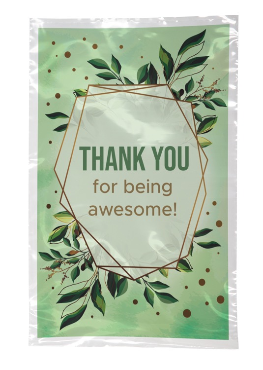 Digital Full Color 2-Sided Open Ended Clear Plastic Bag (6"x9")