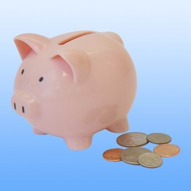 PLASTIC CUTE PIGGY BANK 2
