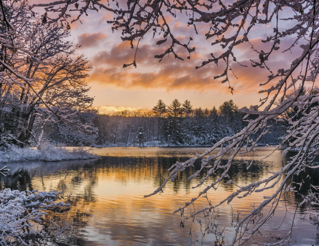 HotLine® Products New England Appointment Calendar - Spiral 24