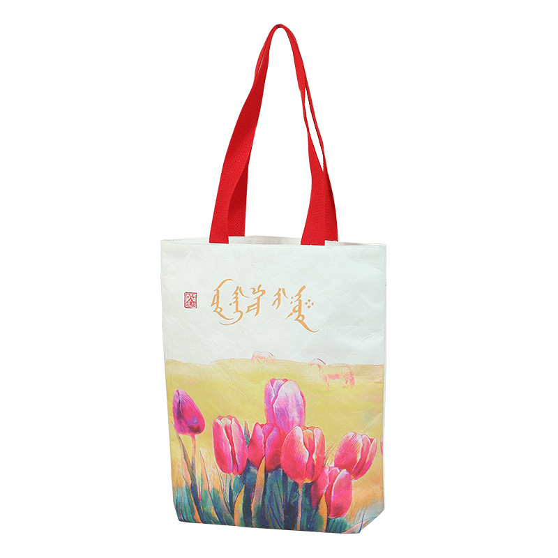 Portable paper bag 1