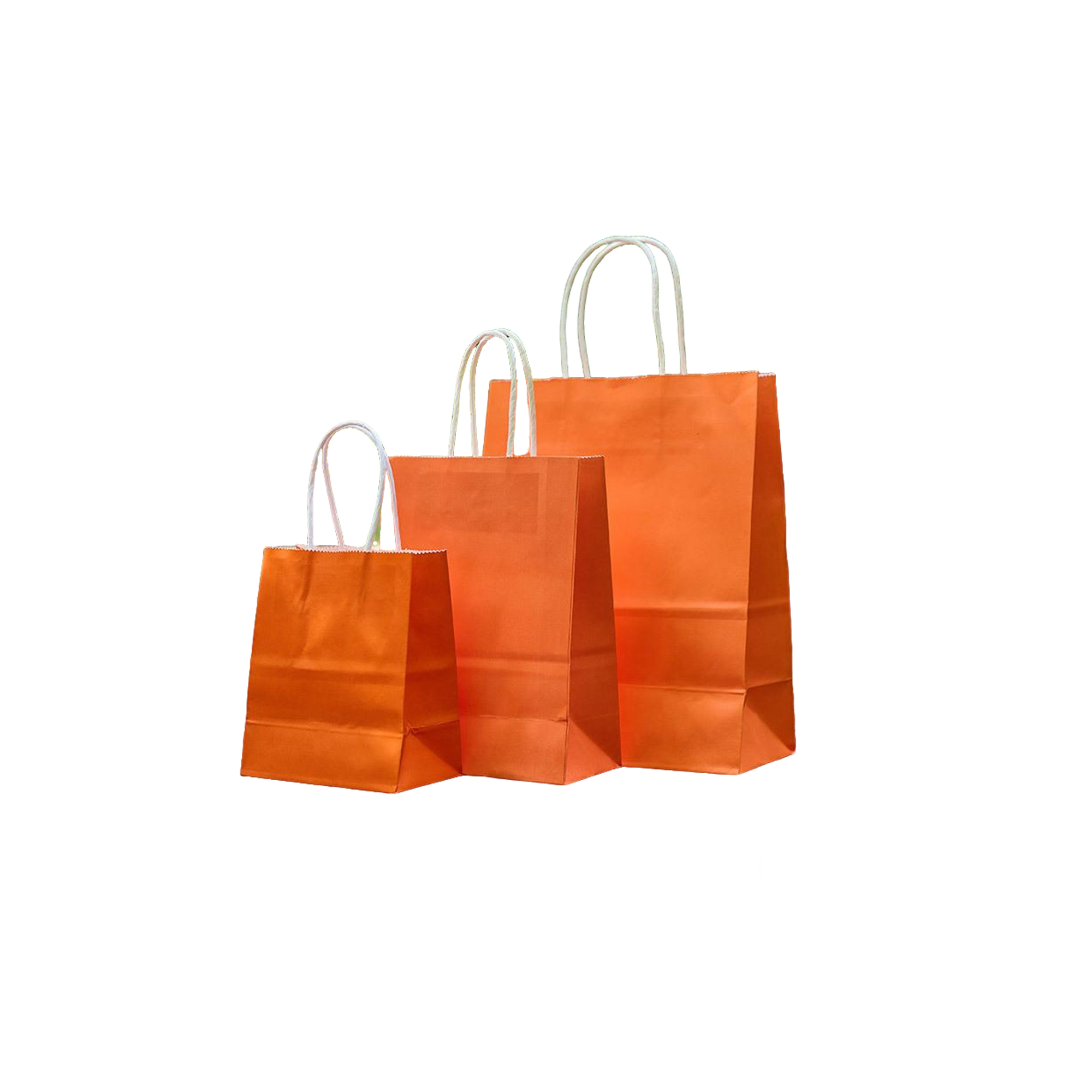 Ink Absorbent Paper Shopping Bag With Twisted Handle 6 x 3.15 x 8.25" 10