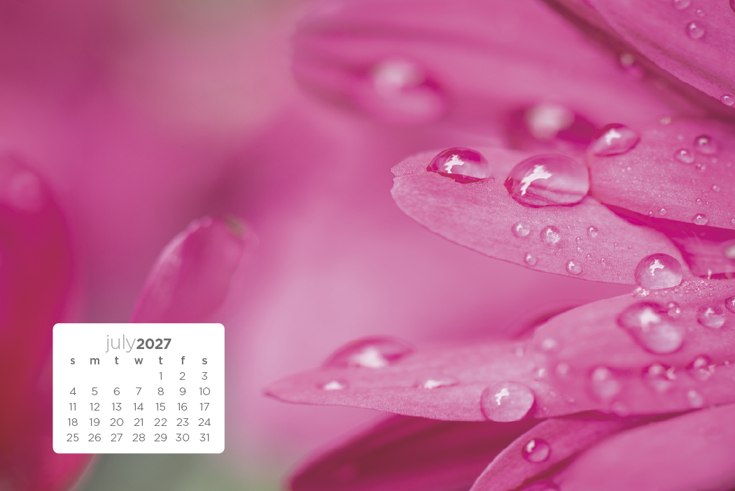 Triumph® Calendars Simplicity Large Desk Calendar 58