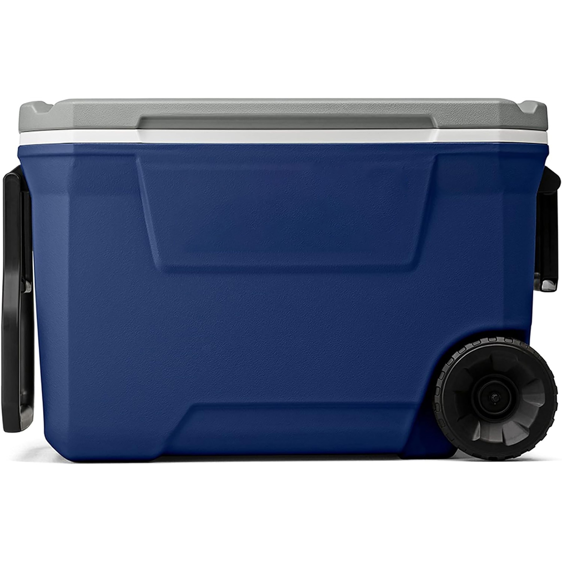 Insulated Portable Cooler 5