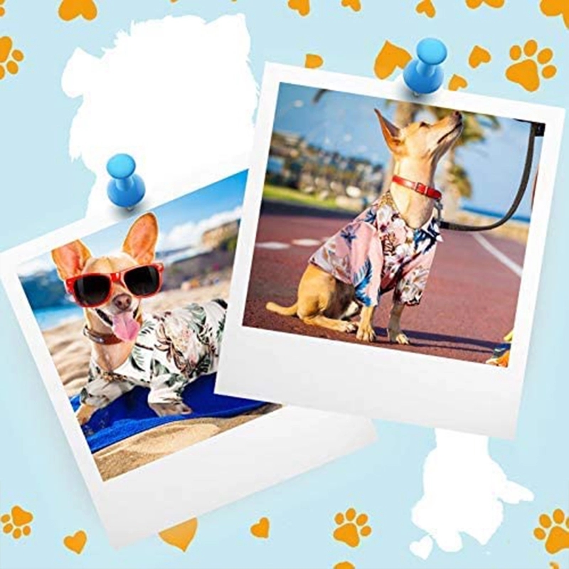 Pet Summer T-Shirts Hawaii Style Floral Dog Clothes 3