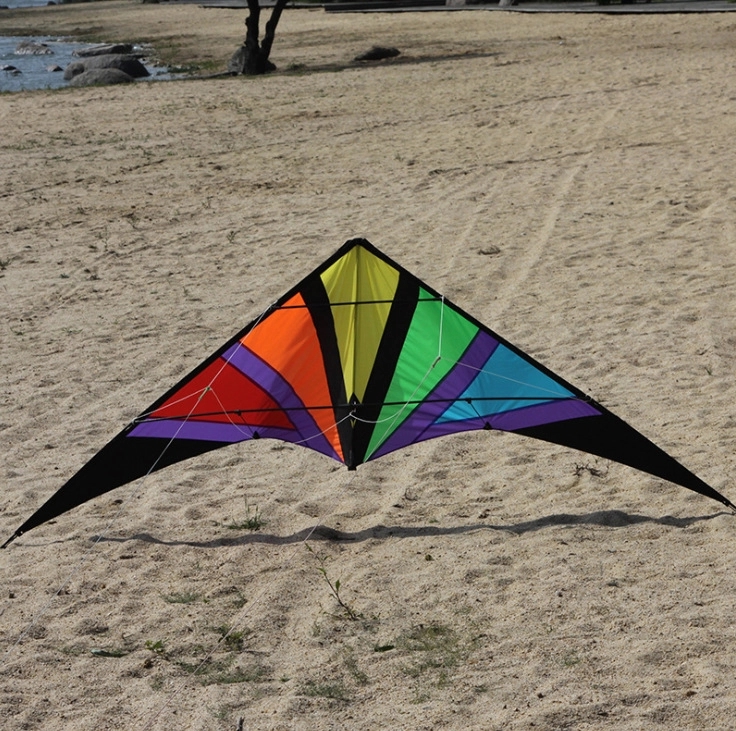 Xl Delta Jumbo Kite - 40" X 20" 12