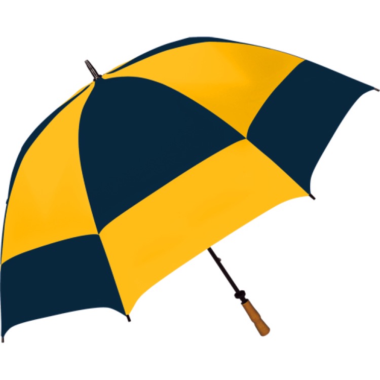 The Checkerboard Golf Umbrella 10