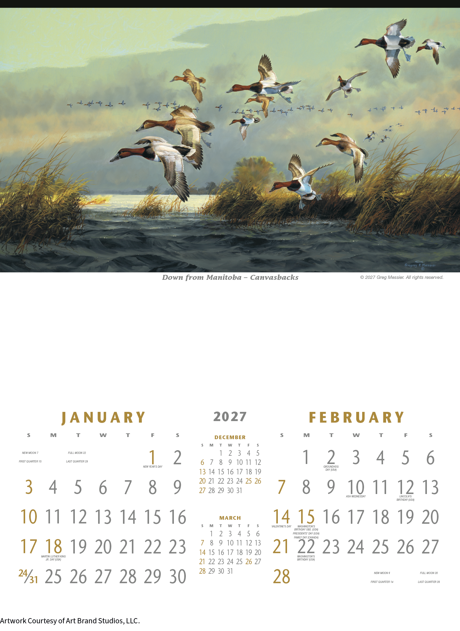 Triumph® Calendars North American Waterfowl Calendar 22