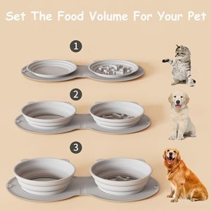 Foldable Stretchable Dual Pet Bowl 12