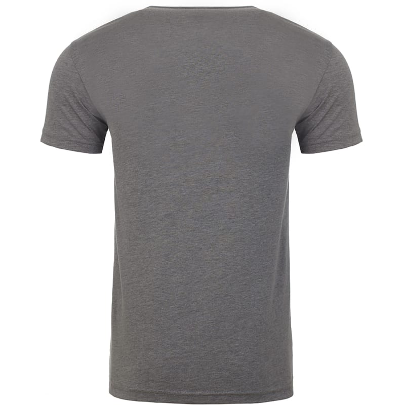 Next Level Mens CVC V 13