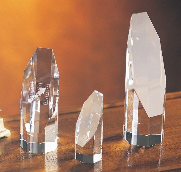 Contemporary Vistas Crystal Octagon Award 2