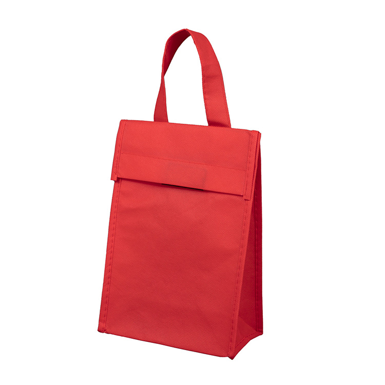 6-1/2"W x 9"H x 3 ½"Gusset - "BAG-IT" Value Priced Lightweight Lunch Tote Bag 9