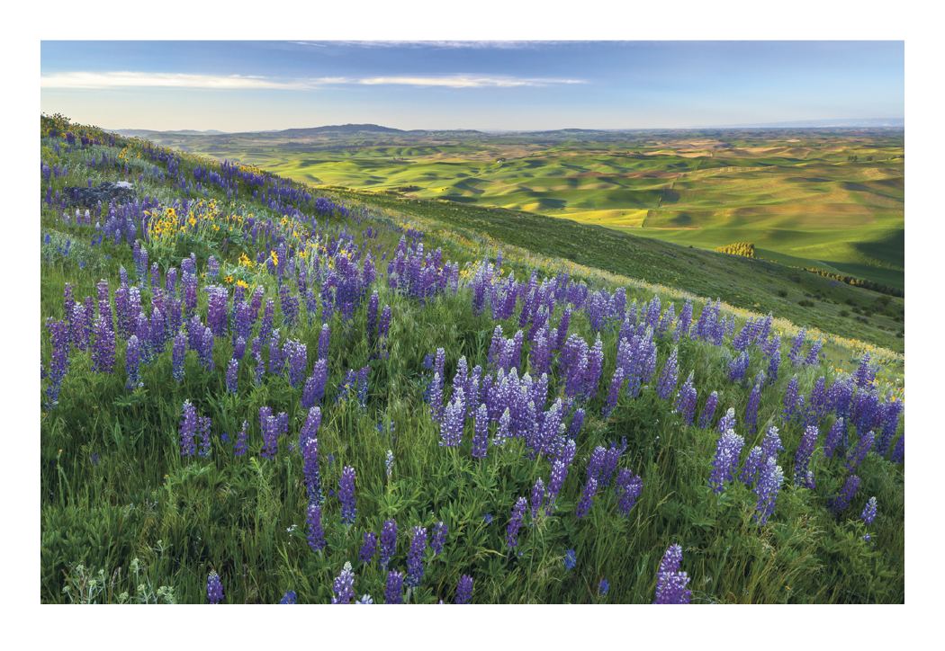 Triumph® Calendars Beautiful America Pocket Calendar 11